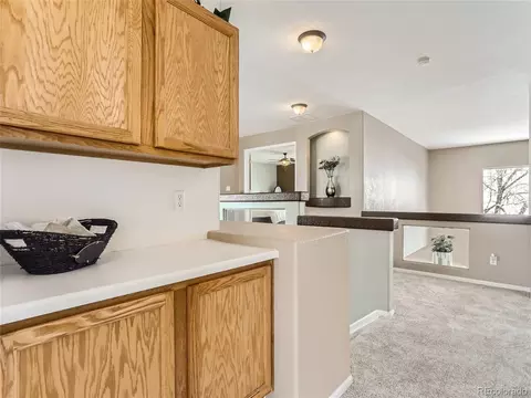 20661 E 48th Pl, Denver, CO 80249 photo 25