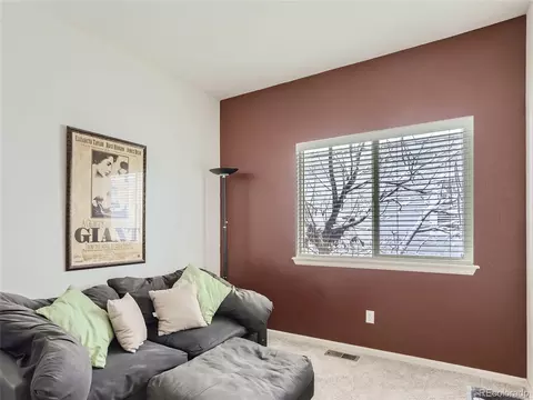 20661 E 48th Pl, Denver, CO 80249 photo 28