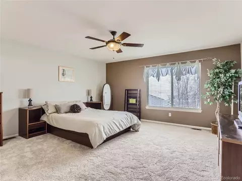 20661 E 48th Pl, Denver, CO 80249 photo 19