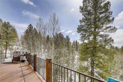 34417 Highview Dr, Pine, CO 80470 photo 26