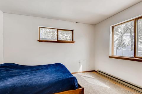 34417 Highview Dr, Pine, CO 80470 photo 9