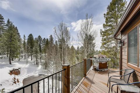 34417 Highview Dr, Pine, CO 80470 photo 25