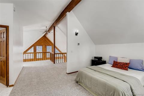 34417 Highview Dr, Pine, CO 80470 photo 15