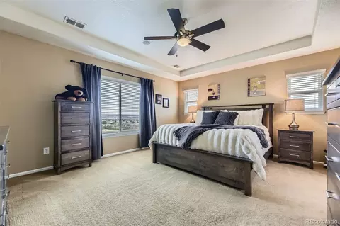 16059 E Grass River Pl, Parker, CO 80134 photo 35