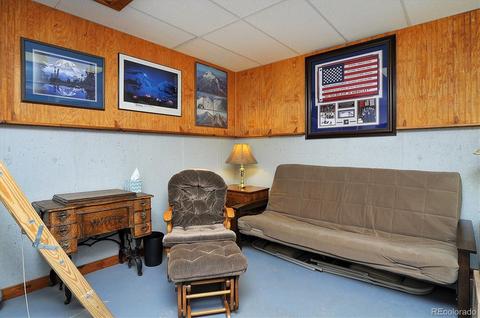 124 Stacker Dr, Hartsel, CO 80449 photo 27