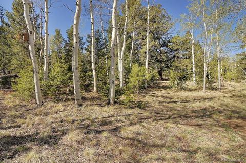 124 Stacker Dr, Hartsel, CO 80449 photo 33