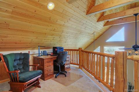 124 Stacker Dr, Hartsel, CO 80449 photo 19