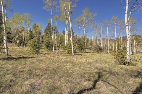 124 Stacker Dr, Hartsel, CO 80449 photo 31