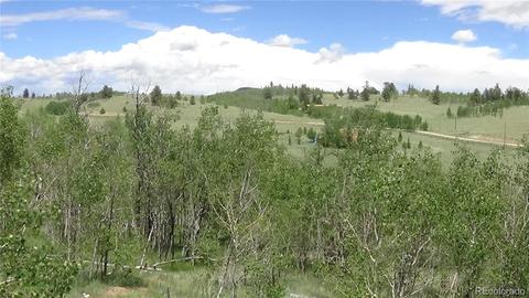 362 Buckskin Way, Como, CO 80432 photo 8