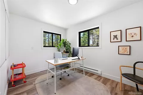 Other - 31556 Griffin Dr, Conifer, CO 80433 photo 6 of 9