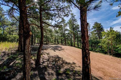 18105 Stone View Rd, Monument, CO 80132 photo 14