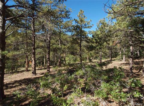 18105 Stone View Rd, Monument, CO 80132 photo 6