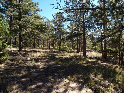 18105 Stone View Rd, Monument, CO 80132 photo 23