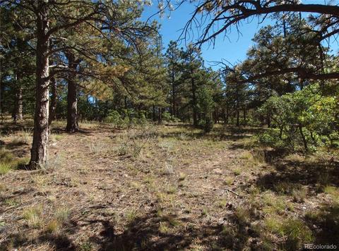 18105 Stone View Rd, Monument, CO 80132 photo 22