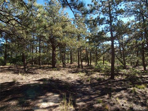 18105 Stone View Rd, Monument, CO 80132 photo 9