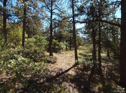 18105 Stone View Rd, Monument, CO 80132 photo 19
