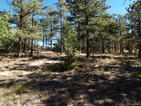 18105 Stone View Rd, Monument, CO 80132 photo 24