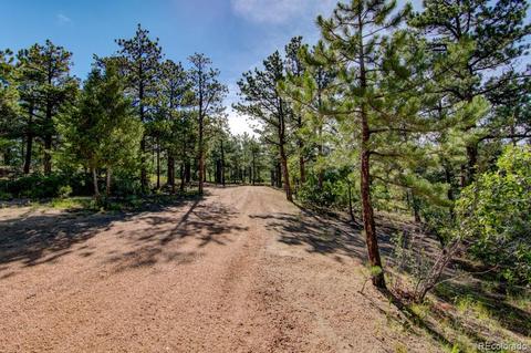 18105 Stone View Rd, Monument, CO 80132 photo 12