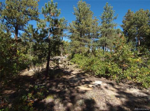 18105 Stone View Rd, Monument, CO 80132 photo 21