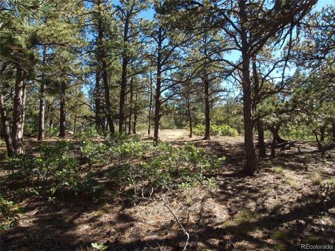 18105 Stone View Rd, Monument, CO 80132 photo 3