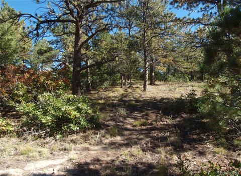 18105 Stone View Rd, Monument, CO 80132 photo 20