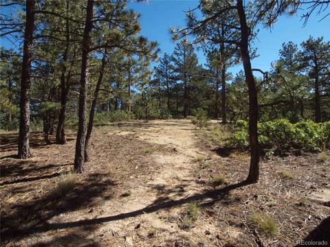 18105 Stone View Rd, Monument, CO 80132 photo 4