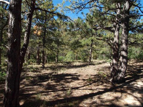 18105 Stone View Rd, Monument, CO 80132 photo 7