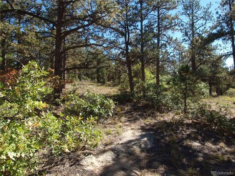 18105 Stone View Rd, Monument, CO 80132 photo 18