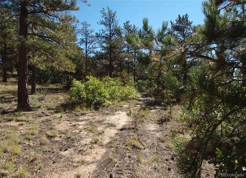 18105 Stone View Rd, Monument, CO 80132 photo 17