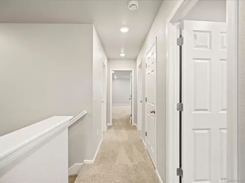 228 Mayfly Ln, Berthoud, CO 80513 photo 16