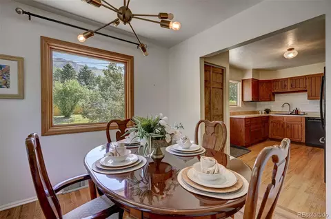 4665 Fox Rd, Cascade, CO 80809 photo 16