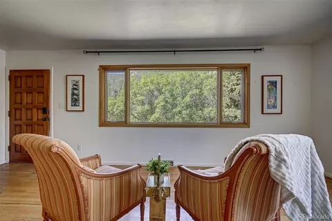 4665 Fox Rd, Cascade, CO 80809 photo 10