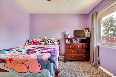 1941 E 83rd Pl, Denver, CO 80229 photo 32