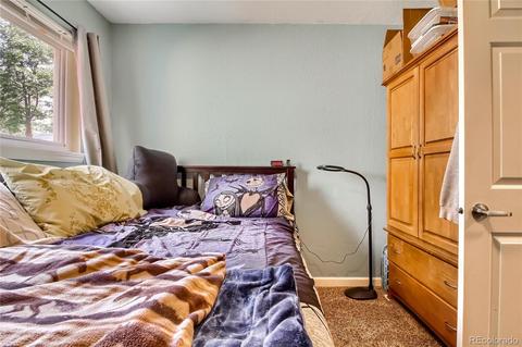 1941 E 83rd Pl, Denver, CO 80229 photo 30