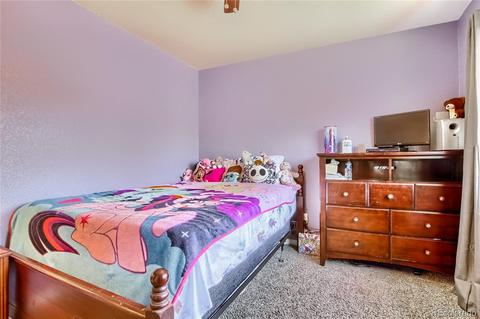 1941 E 83rd Pl, Denver, CO 80229 photo 16