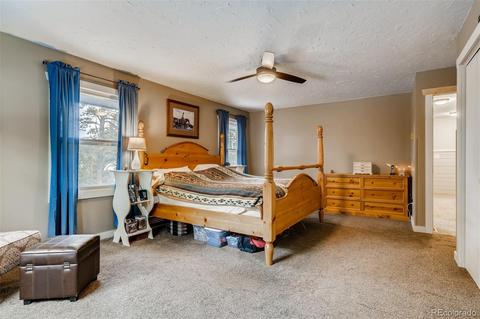 4696 Antelope Trl, Elbert, CO 80106 photo 14