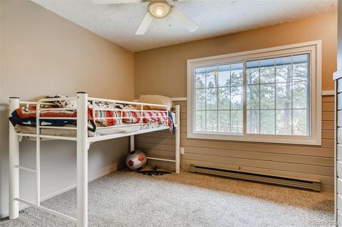 4696 Antelope Trl, Elbert, CO 80106 photo 17