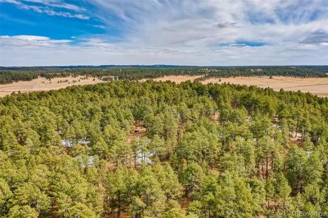 4696 Antelope Trl, Elbert, CO 80106 photo 34