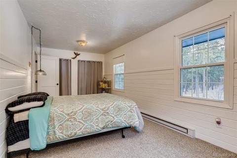 4696 Antelope Trl, Elbert, CO 80106 photo 20