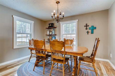 4696 Antelope Trl, Elbert, CO 80106 photo 12