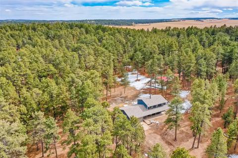4696 Antelope Trl, Elbert, CO 80106 photo 31