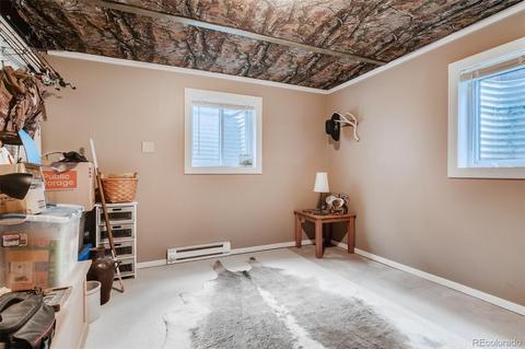 4696 Antelope Trl, Elbert, CO 80106 photo 22