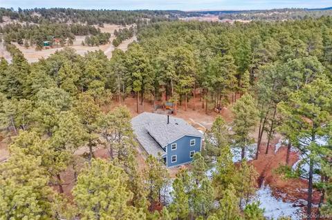 4696 Antelope Trl, Elbert, CO 80106 photo 29