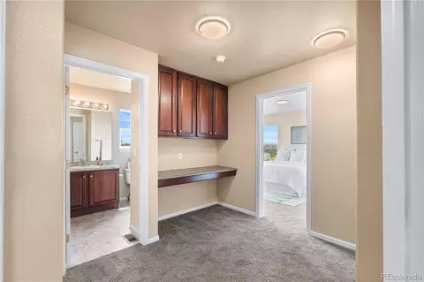 20414 E 55th Pl, Denver, CO 80249 photo 15