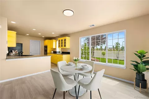 20414 E 55th Pl, Denver, CO 80249 photo 8