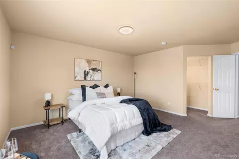 20414 E 55th Pl, Denver, CO 80249 photo 17