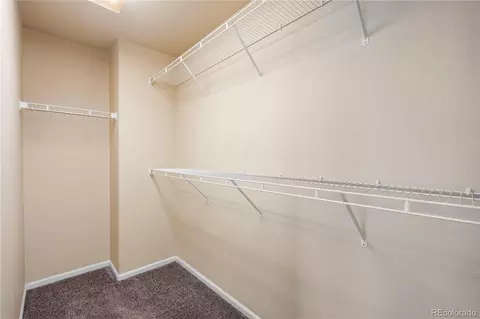 20414 E 55th Pl, Denver, CO 80249 photo 18