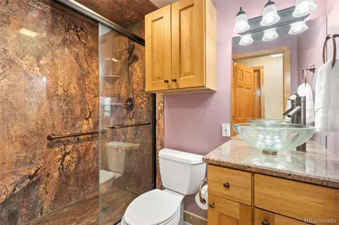 2924 E 116th Pl, Thornton, CO 80233 photo 31