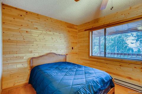 26 Rainbow Ct, Divide, CO 80814 photo 6
