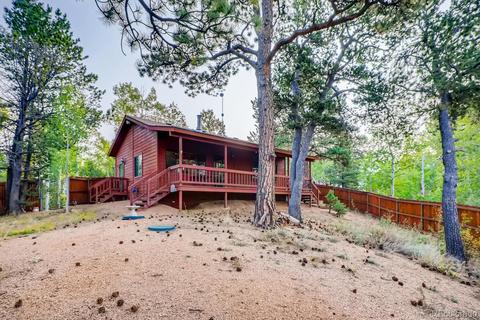 26 Rainbow Ct, Divide, CO 80814 photo 10